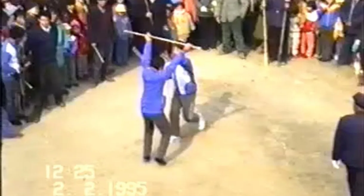 1995年2月2日民间举办迎喜花会