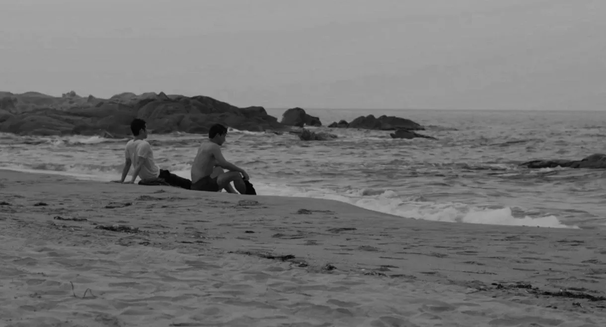 Black Summer