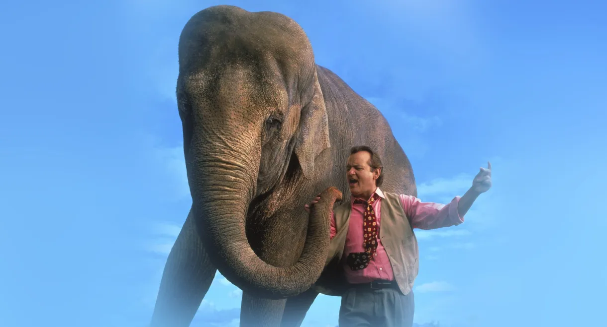 Larger Than Life
