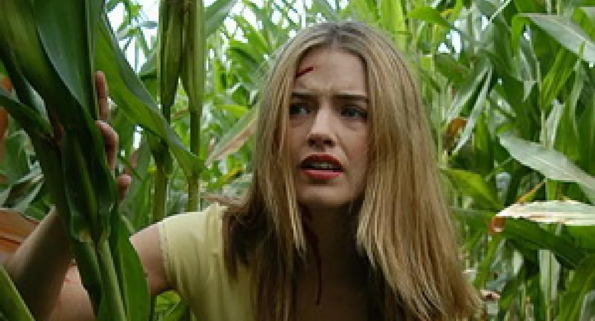Scarecrow Gone Wild