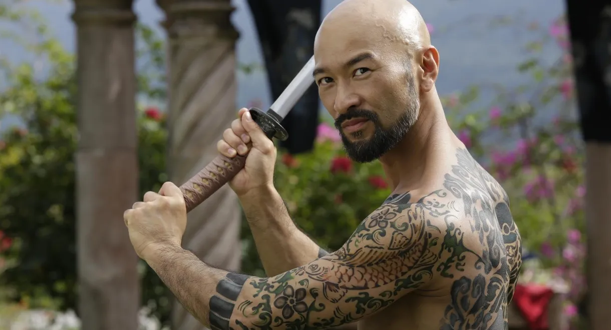 Falcon Rising