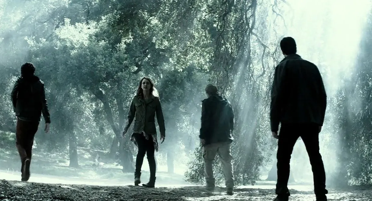 The Veil