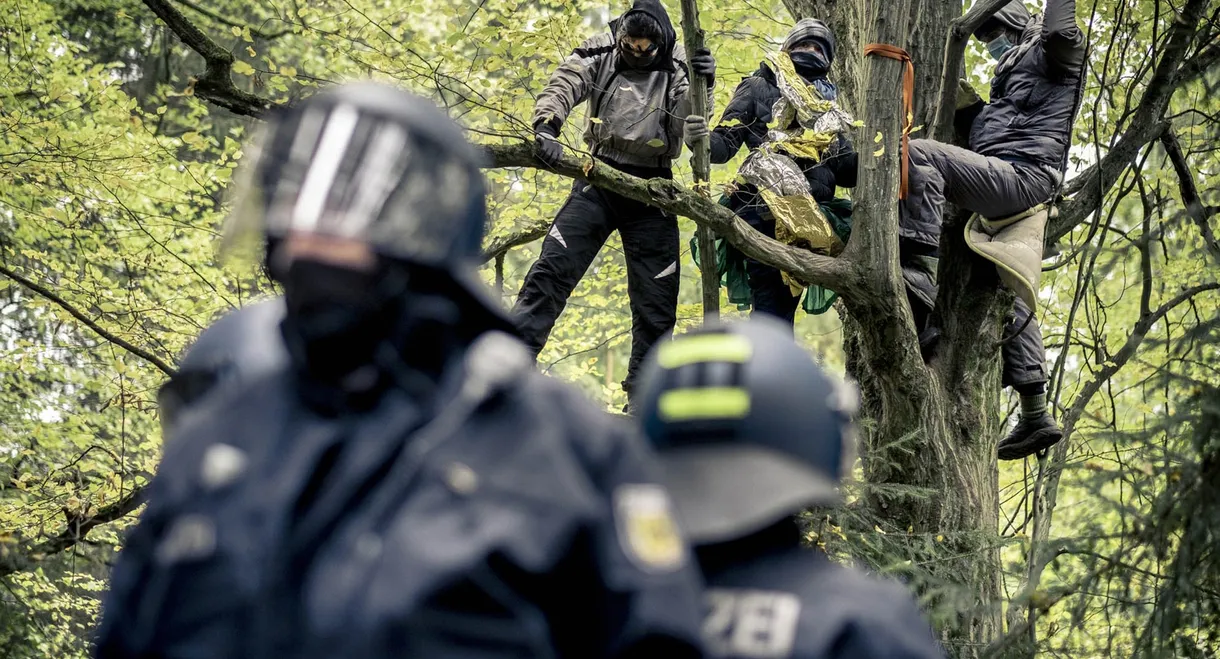 Barricade: Pictures of a Forest Occupation