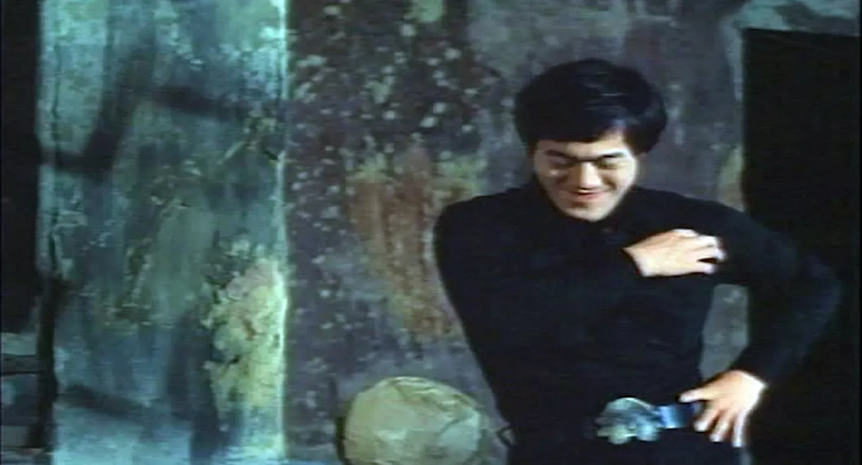 Fists of Bruce Lee