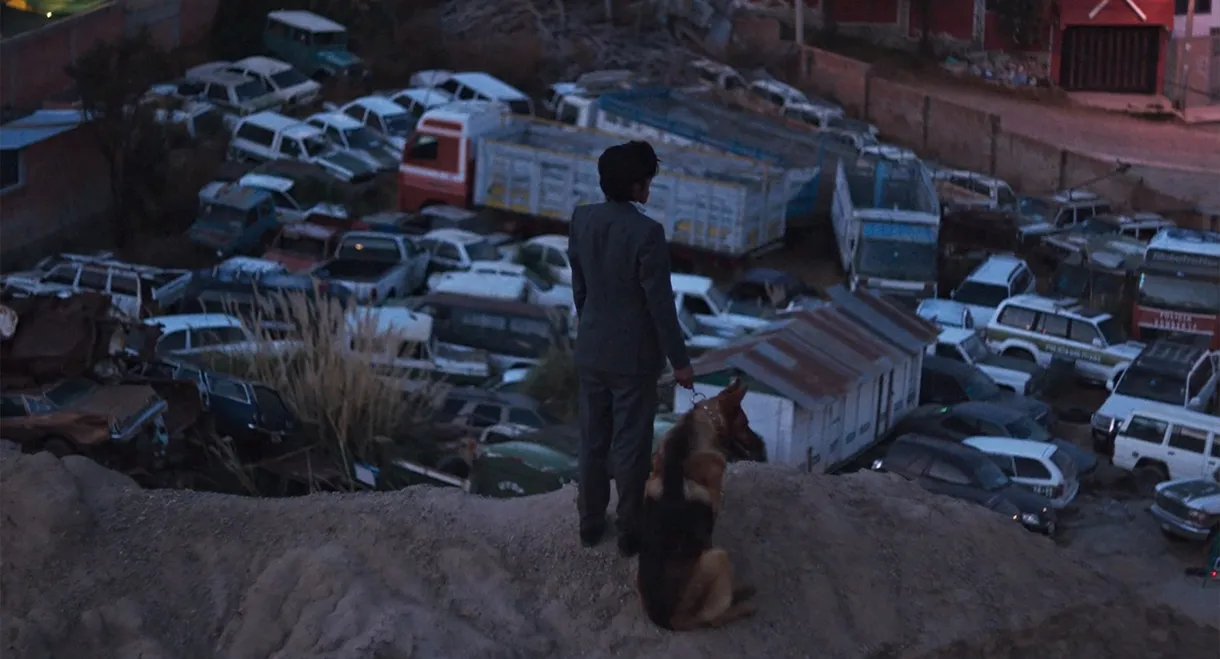 The Dog Thief