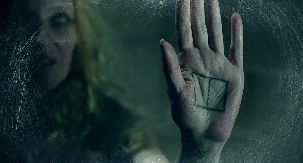 The Window