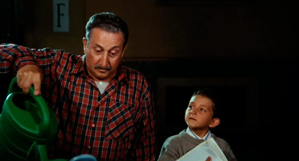 Ci hai rotto papà