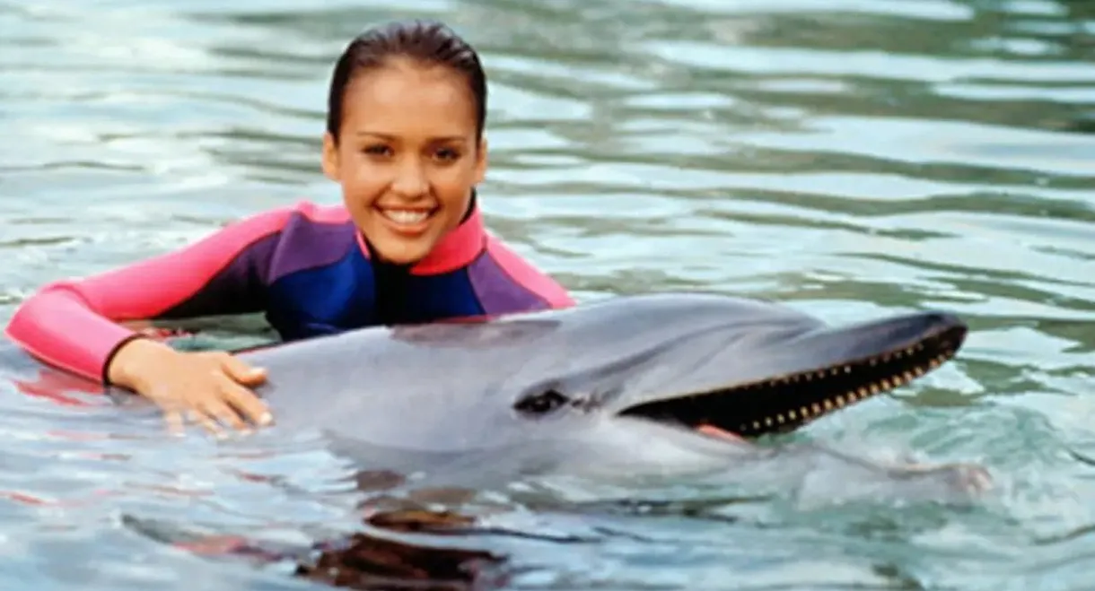 Flipper