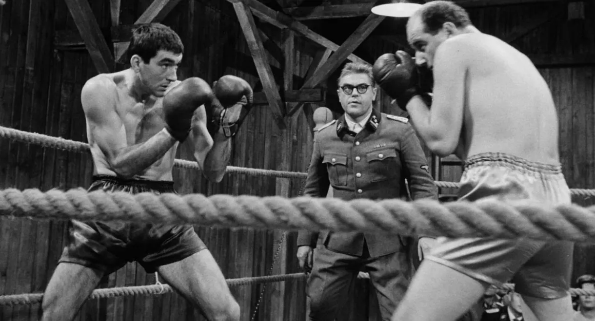 The Boxer and Death