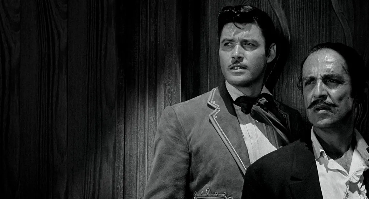 Zorro