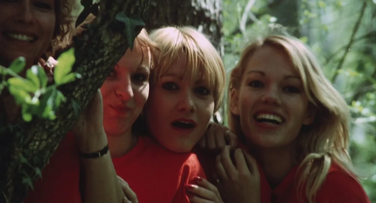 The Amorous Sisters
