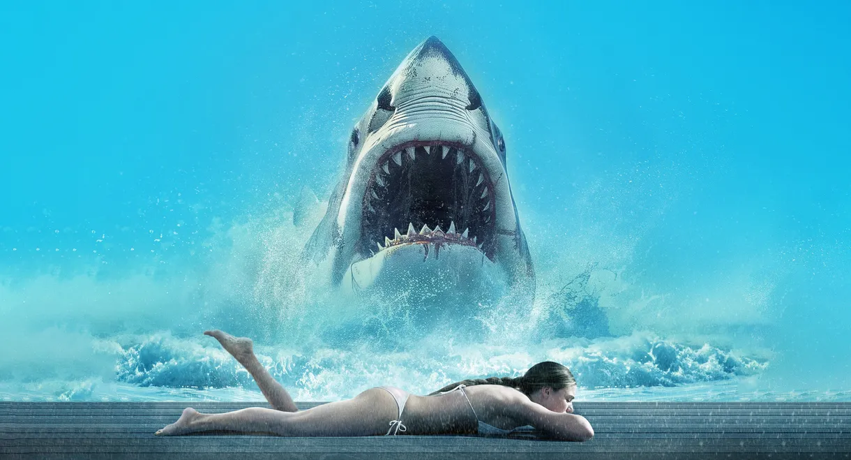 Shark Warning