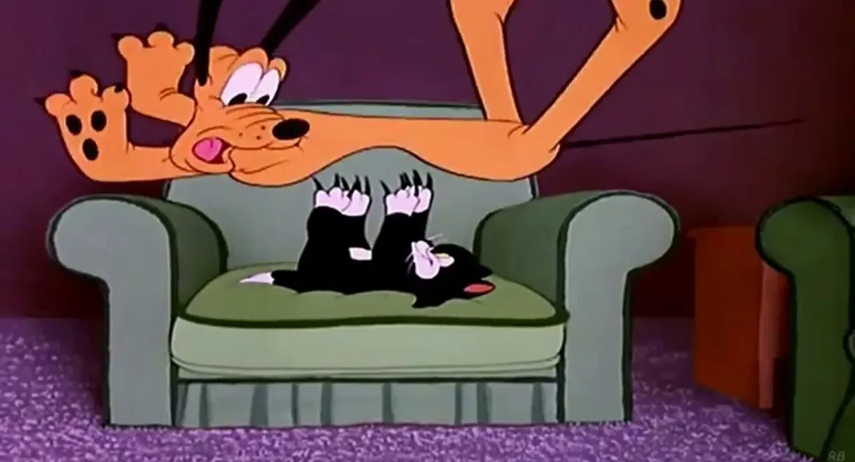 Cat Nap Pluto