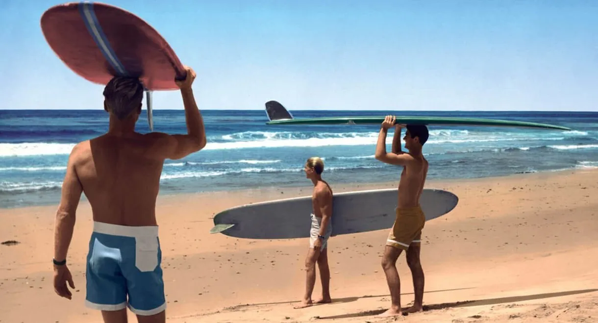 The Endless Summer