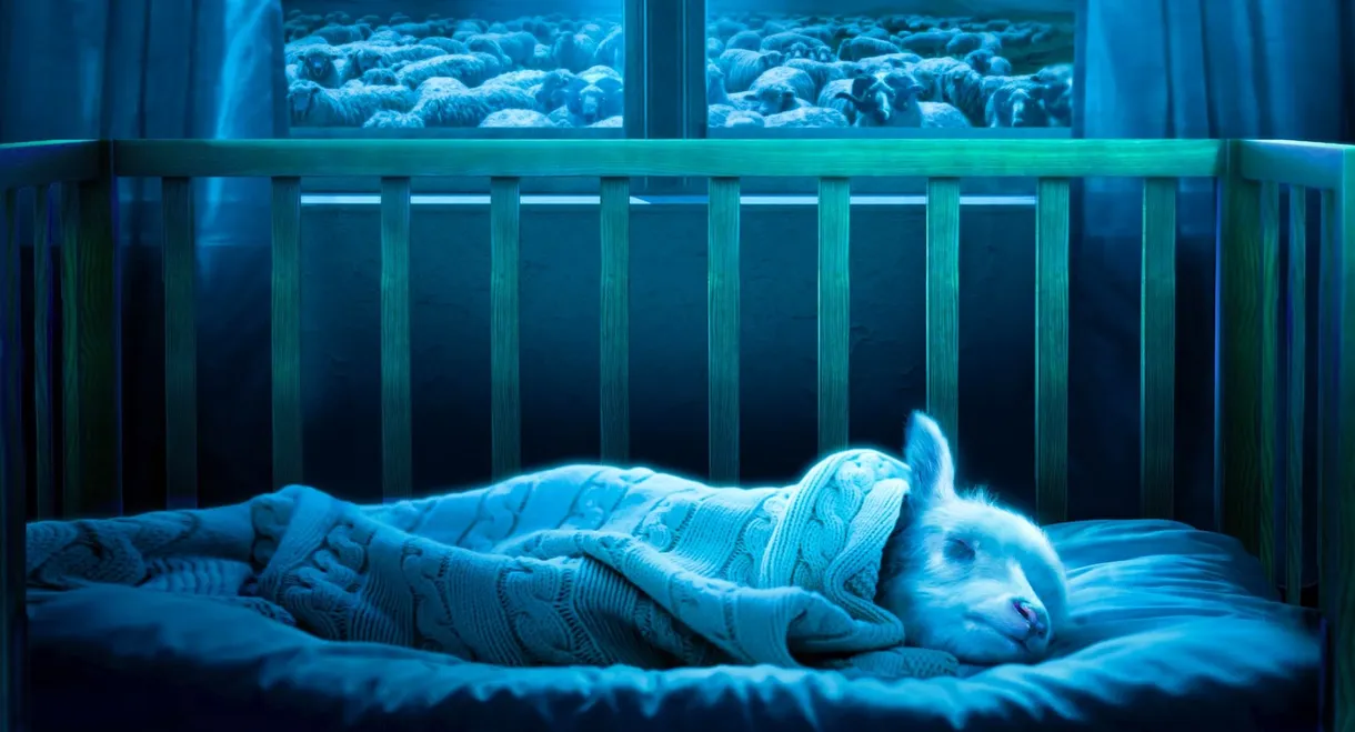 Lamb