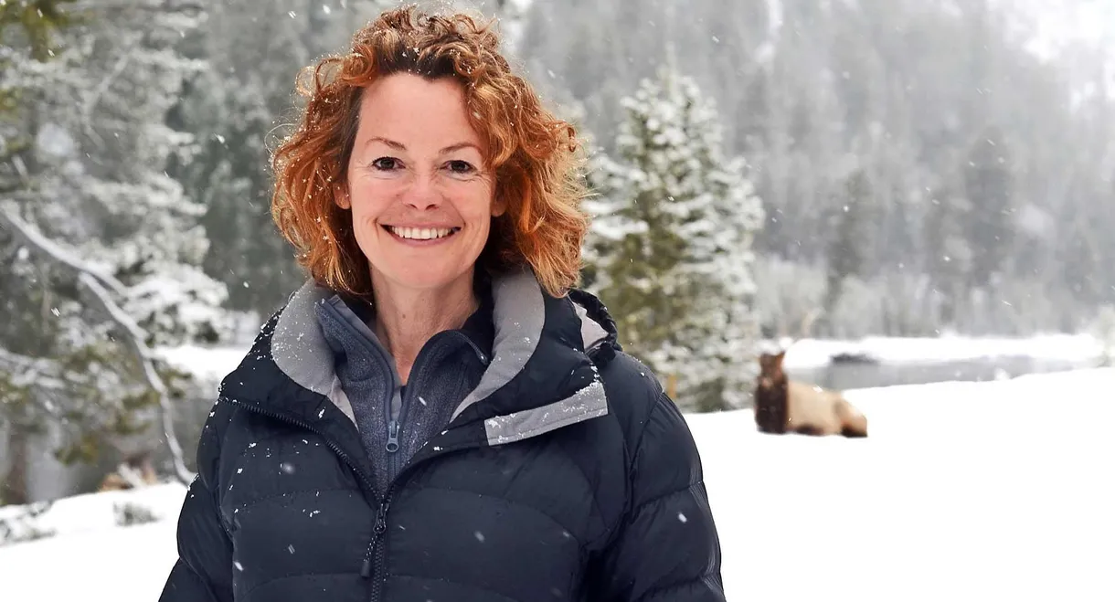 Yellowstone: Wildest Winter to Blazing Summer
