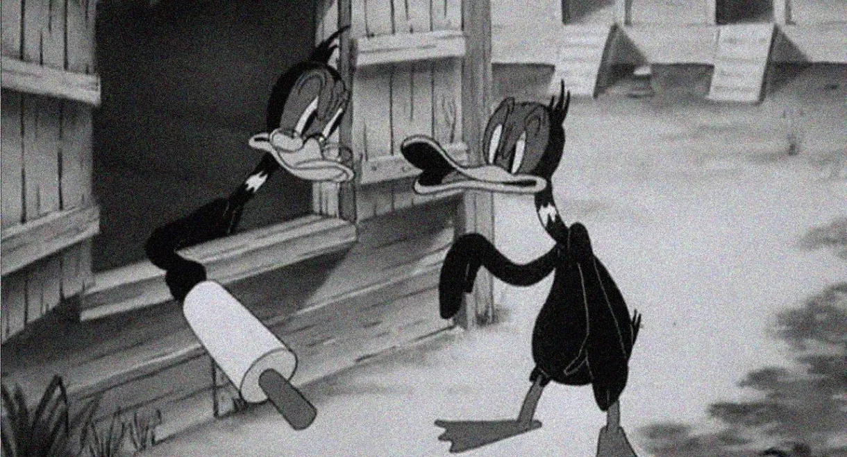 Wise Quacks