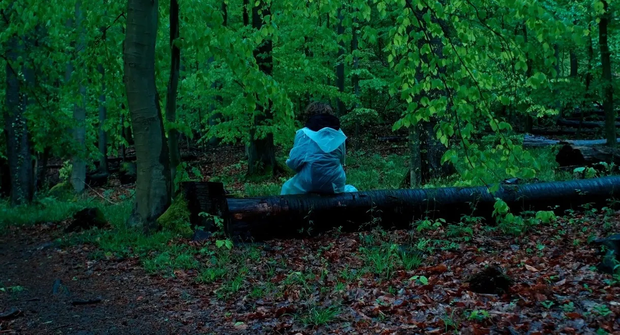 Pfaffendorf Forest