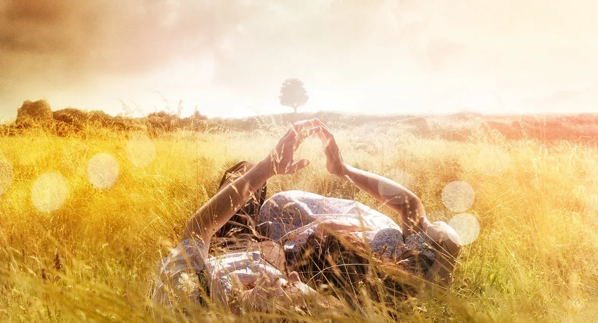 The History of Love