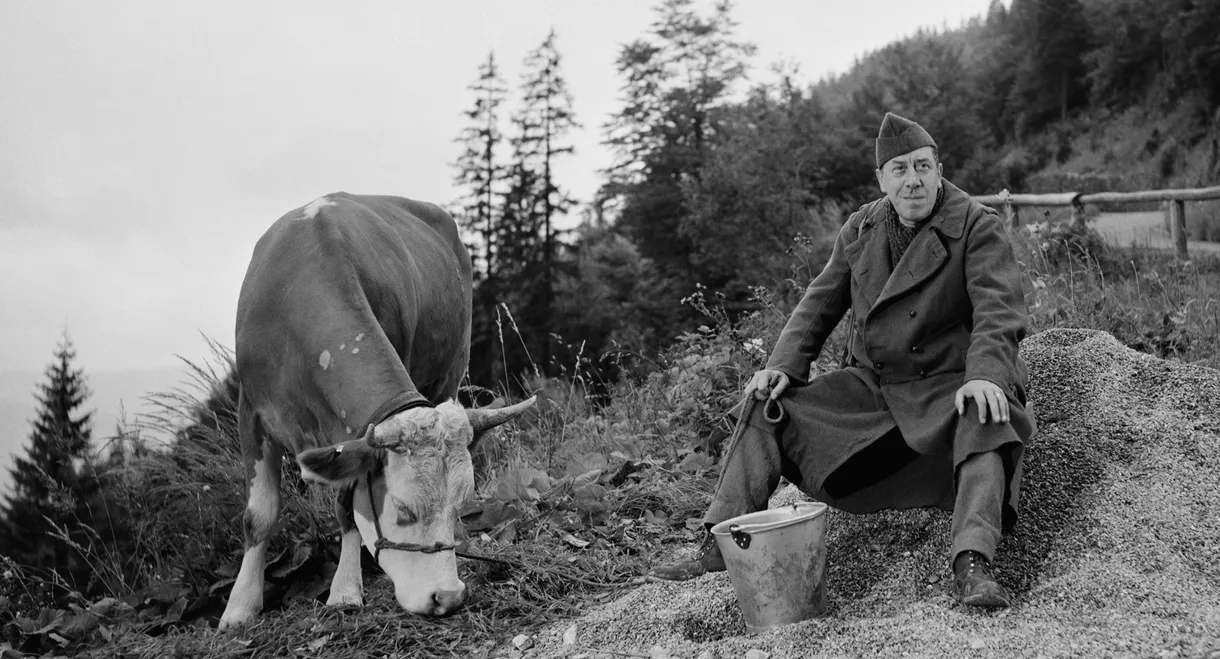 The Cow and I