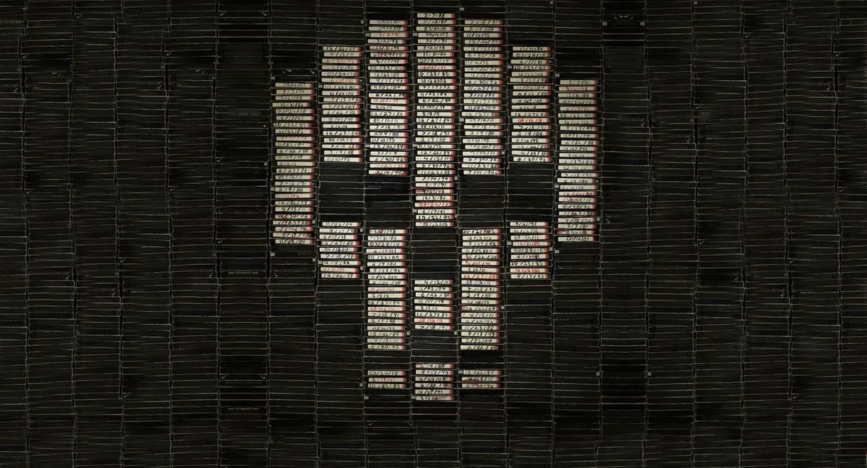 V/H/S