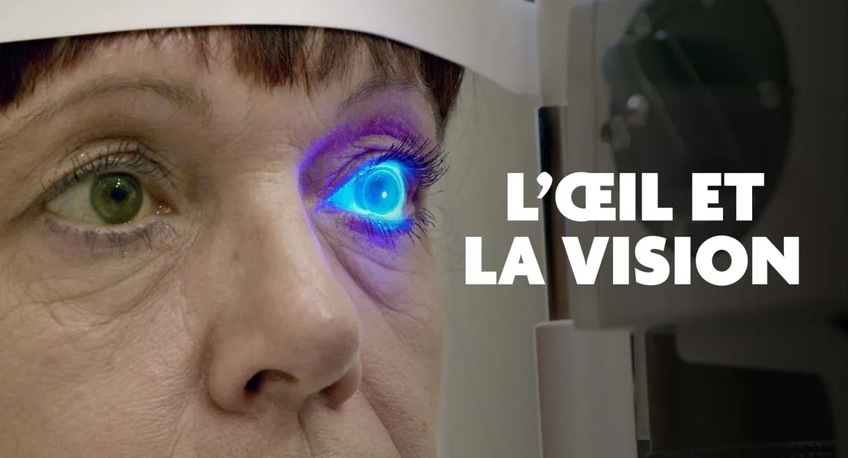Das Auge - Forschung sehen