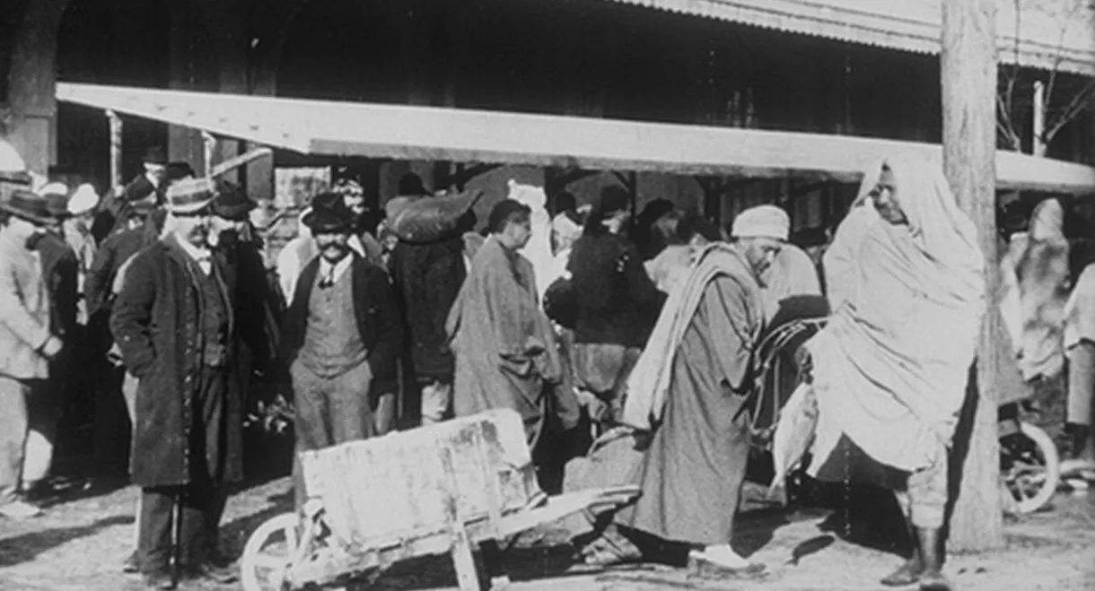 Marché aux poissons