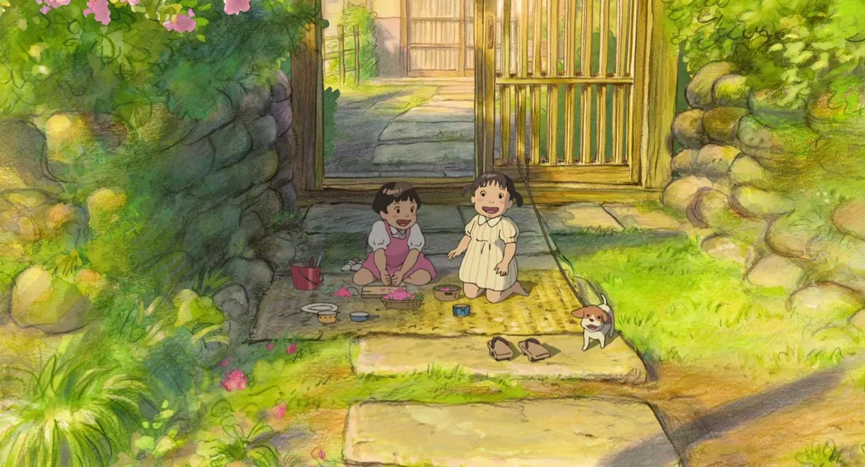 Ghibli Full Special Short Shorts