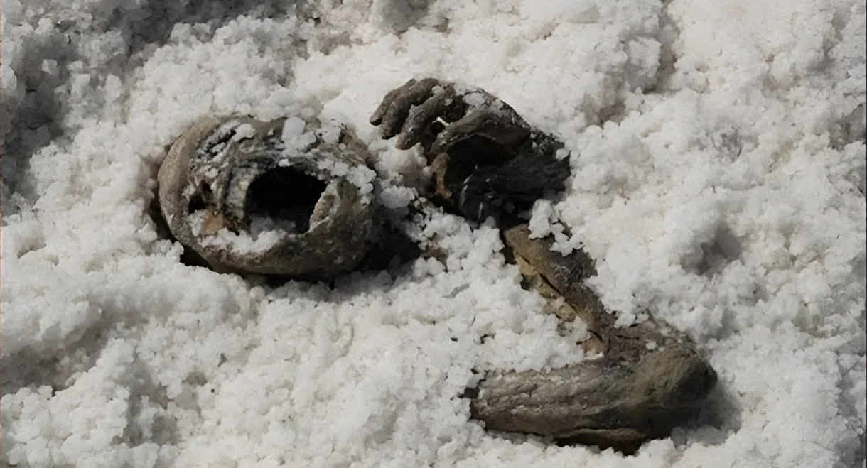 Under the Salt