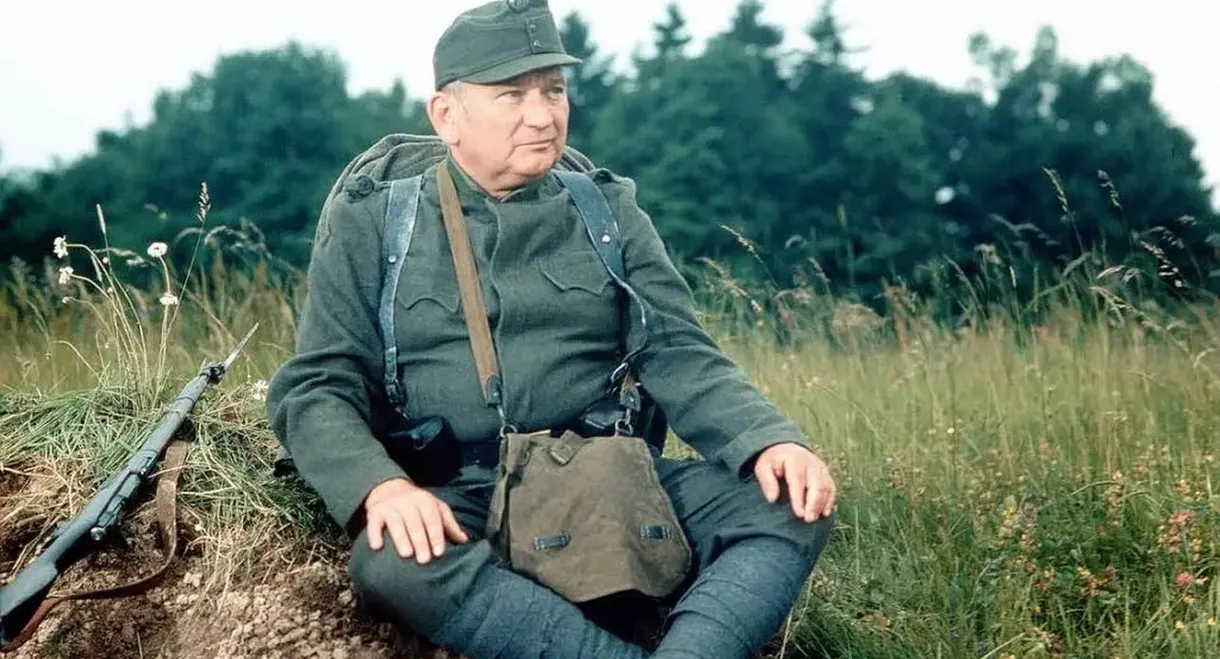 The Adventures of the Good Soldier Schwejk