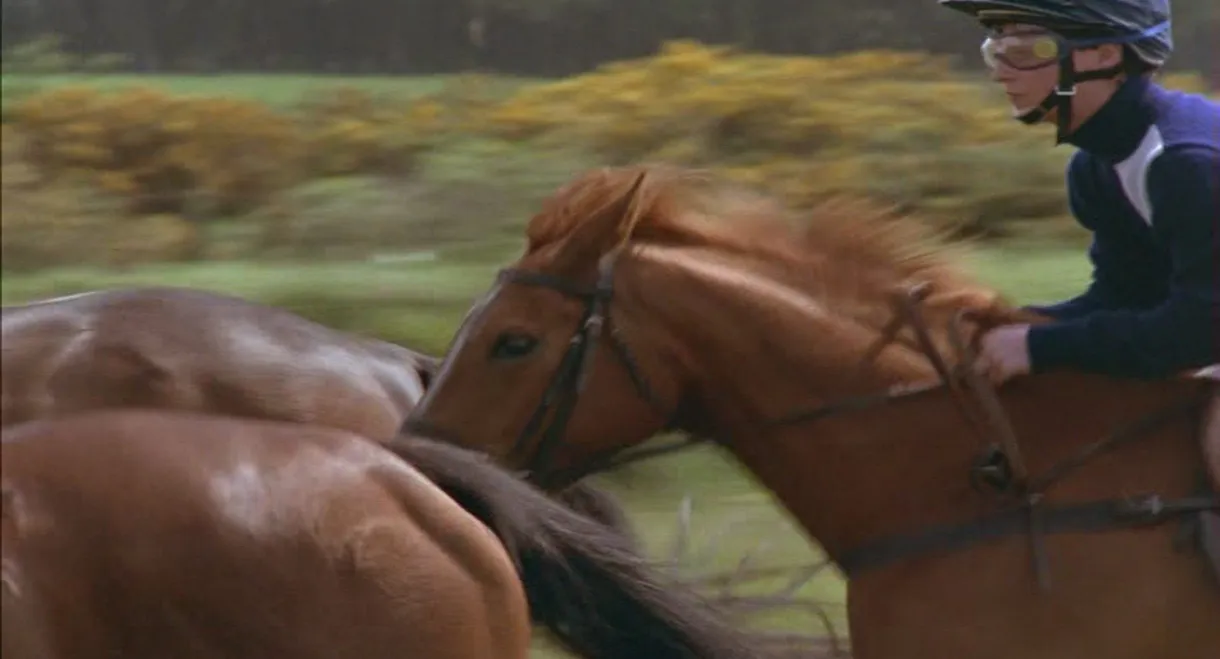 Shergar