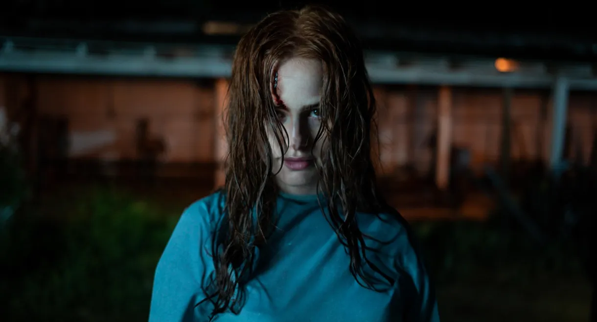The Strangers: Chapter 2
