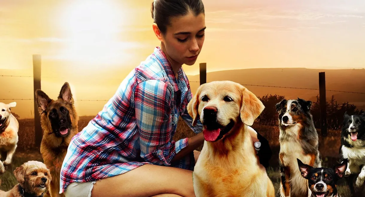 The Dog Lover
