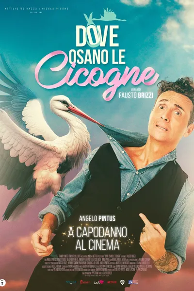 Dove osano le cicogne