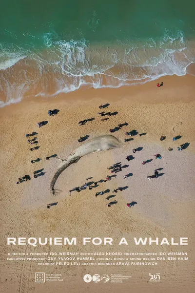 Requiem for a Whale