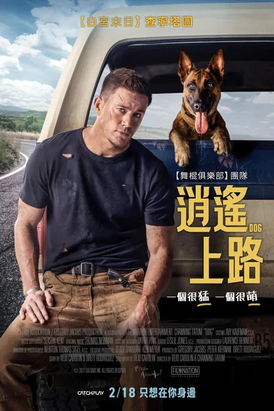忠犬