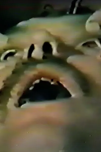 The Fear Vendors