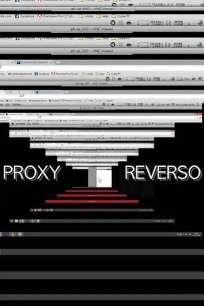 Reverse proxy