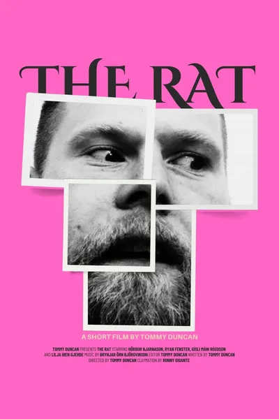 The Rat