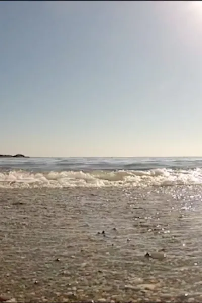 Sea
