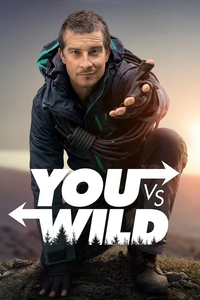 You vs. Wild
