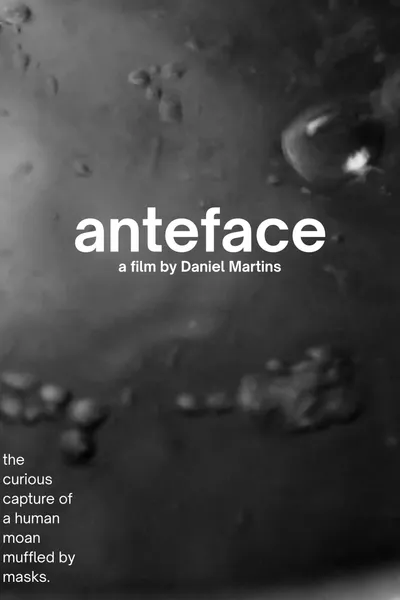 Anteface
