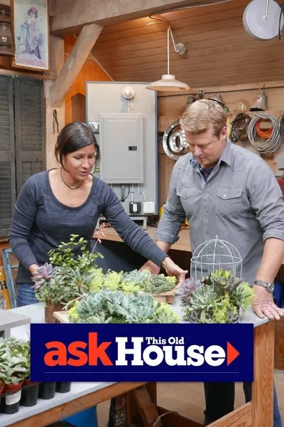 Ask This Old House