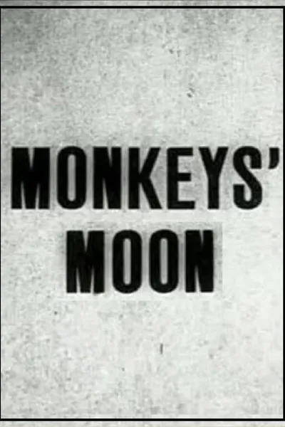 Monkey's Moon