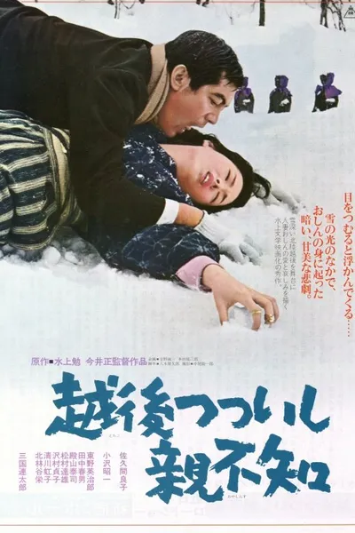 A Story from Echigo