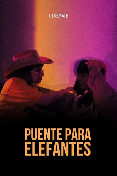 Puente Para Elefantes