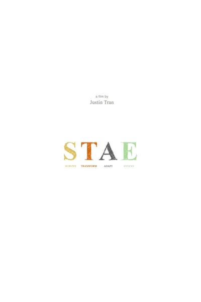 STAE