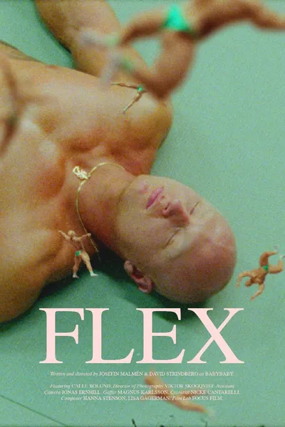 Flex