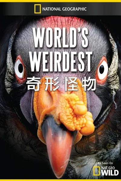 World's Weirdest