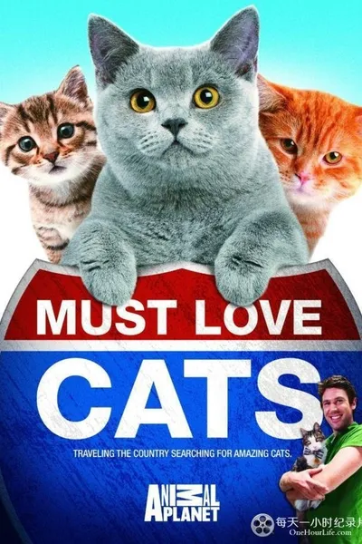 Animal Planet: Must Love Cats